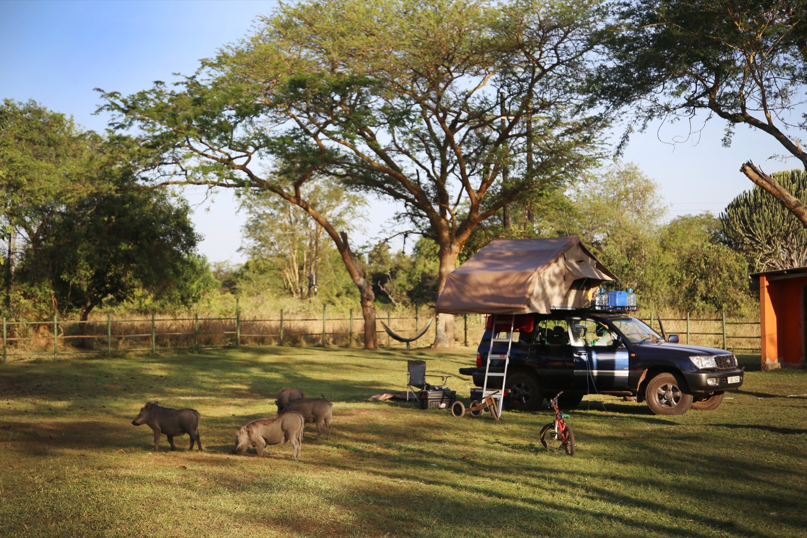Toyota 4x4 avec tente de toit en camping pres de Ziwa Rhino Sanctuary