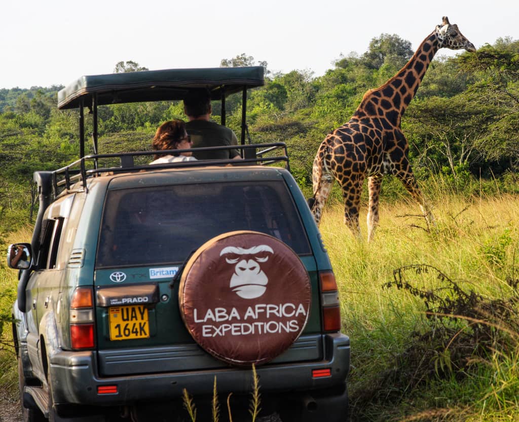 Toyota Prado de location pour safari self-drive en Ouganda via Ziwa